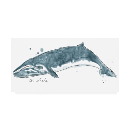 June Erica Vess 'Cetacea Sei Whale' Canvas Art,24x47